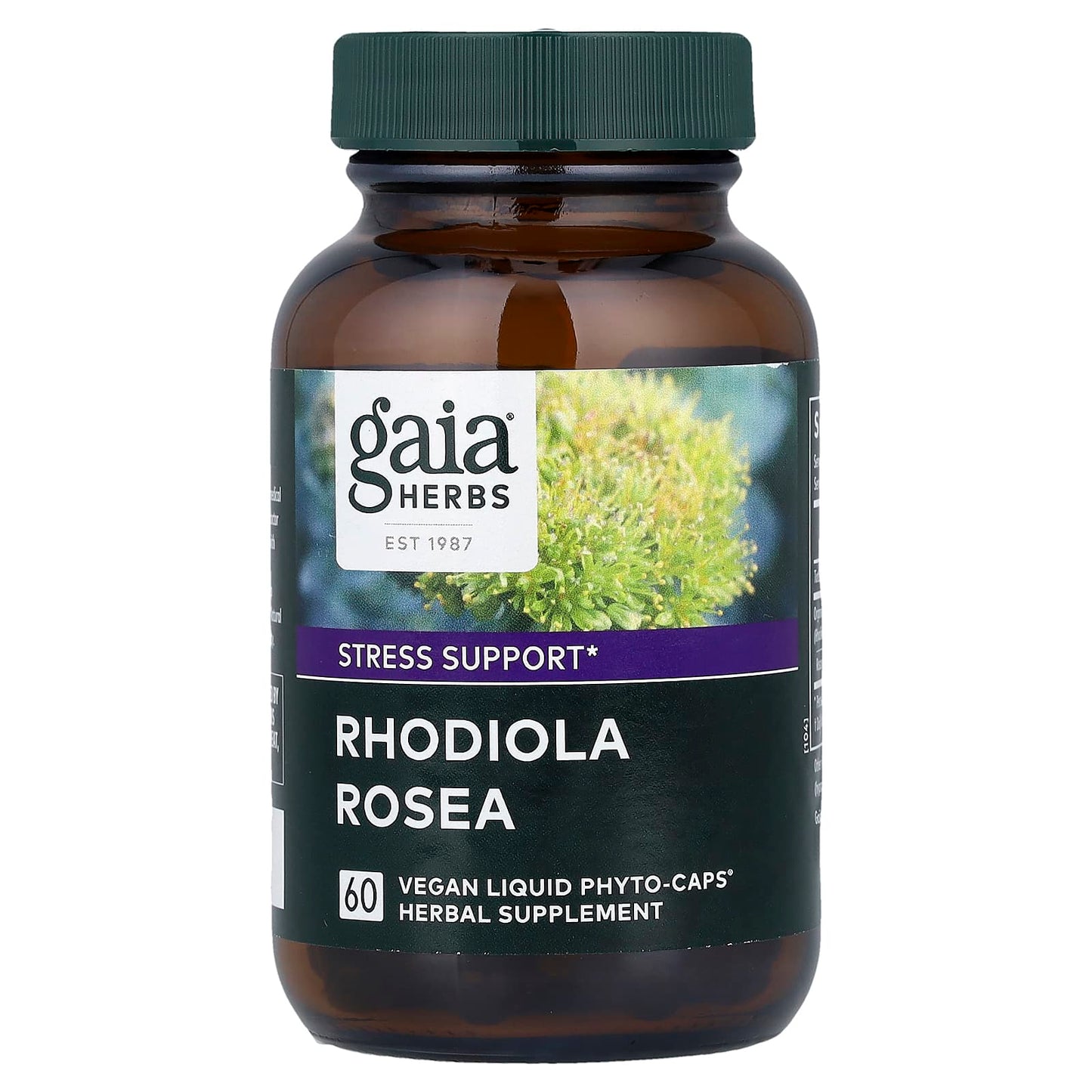 Gaia Herbs Rhodiola Rosea. 60 Vegan Liquid Phyto-Caps | Stress Support Supplement for Supporting Healthy Stamina and Endurance