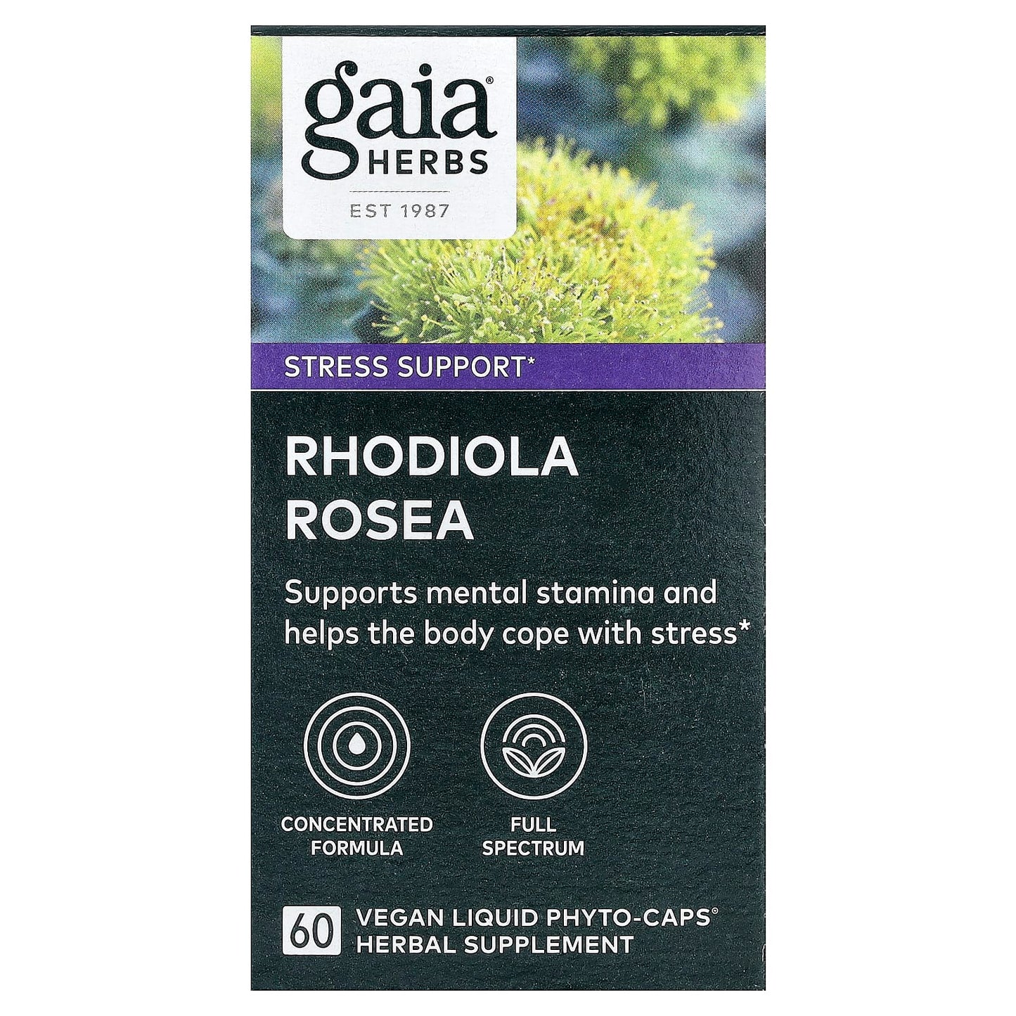 Gaia Herbs Rhodiola Rosea. 60 Vegan Liquid Phyto-Caps | Stress Support Supplement for Supporting Healthy Stamina and Endurance